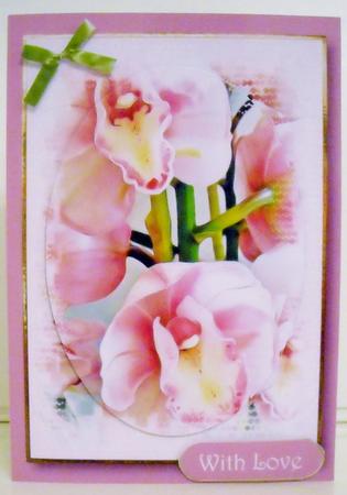 Floral Splendour - Orchids by Pam Stubley