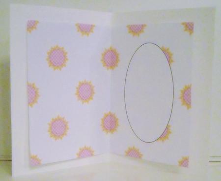 Gingham Sun Pink Insert by Pam Stubley