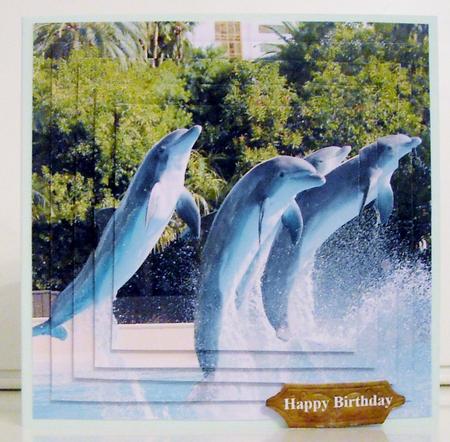 Because We Love Mammals - Dolphins - the Joy of Leaping Tag+ by Pam Stubley