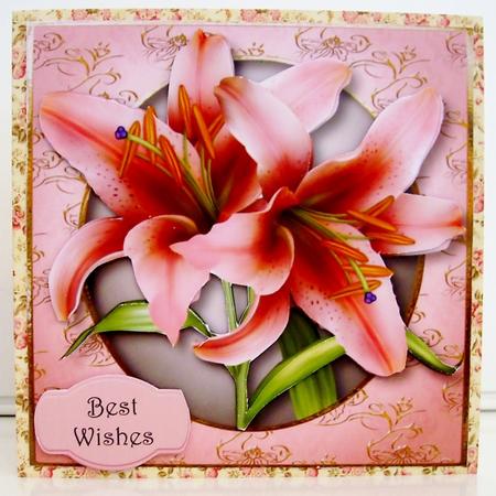 Beautiful Pink Lilies by Pam Stubley