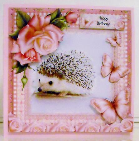 The Hedgehog Card Front Kit by Pam Stubley
