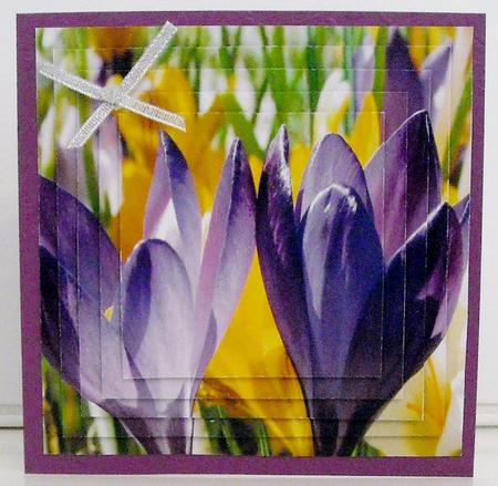 Spring Time - Eostra Easter - Crocus + Insert & Tag by Pam Stubley