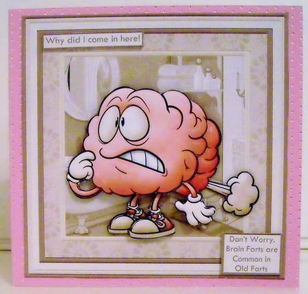 Brain Farts 7.5 Decoupage Mini Kit Various Occasions by Pam Stubley