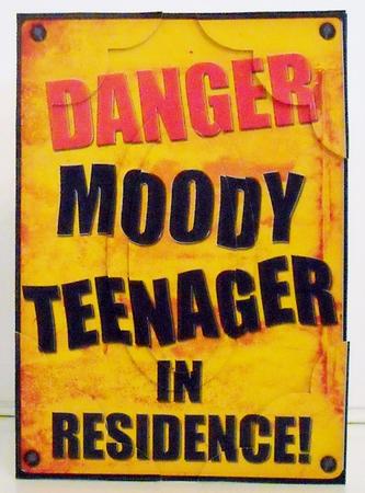 A5 Fun Novelty Moody Teenager Scallop Corners N Pyramage by Pam Stubley