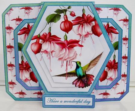 3D Double Pop-out - Fushia & Humming Bird by Pam Stubley