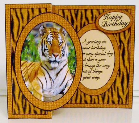 Tiger Mini Kit- No Hole Fold Back by Pam Stubley