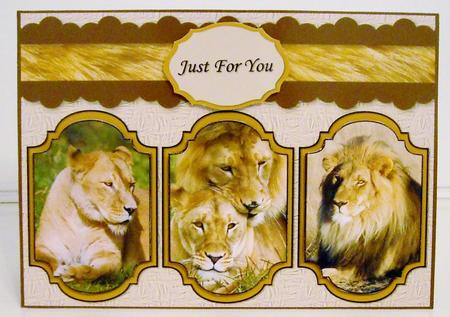 Lions Card by Pam Stubley
