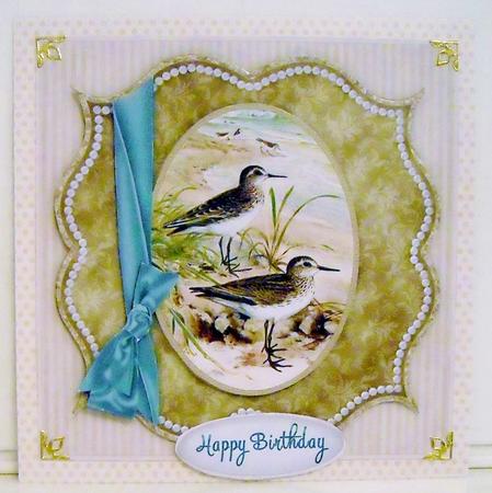 Square Bracket Shore Birds by Pam Stubley