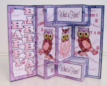 Shutter Surprise Card - What a Hoot (pink) by Pam Stubley