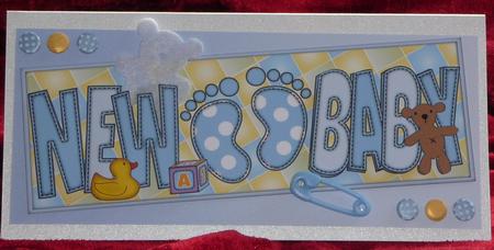 New Baby Feet Large Dl by Pam Williams