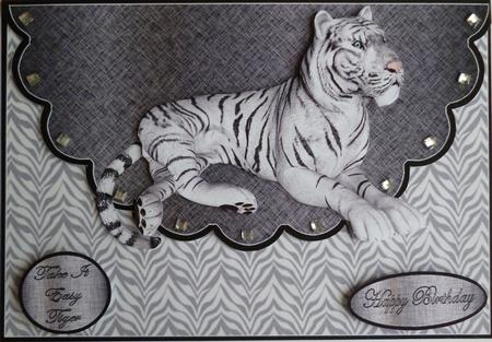 Just a Pussycat Envelope Cardfront by Pamela Evans