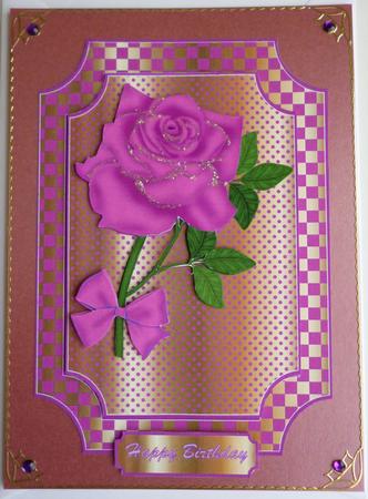 Pink Rose by Pamela Evans