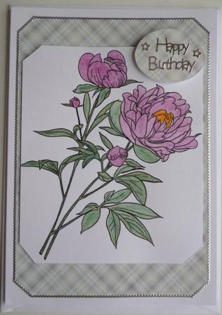 Peony Digi Stamp by Pamela Evans