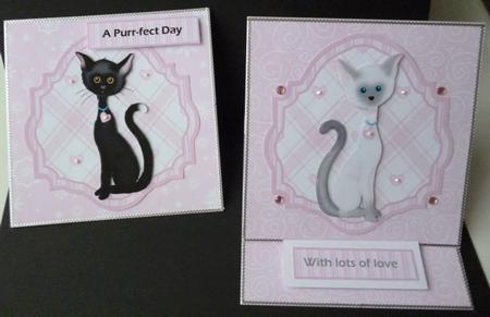 Purr-fect Kittens by Pamela Evans