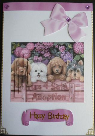 Cute Puppies Need Adopting, Pyramids by Pamela Evans