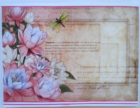 Lily Floral Spray Paper Light Pink by Pamela Horton