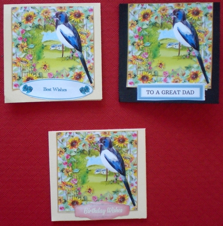 3 All about the birds card fronts/toppers 4 by Pamela Horton