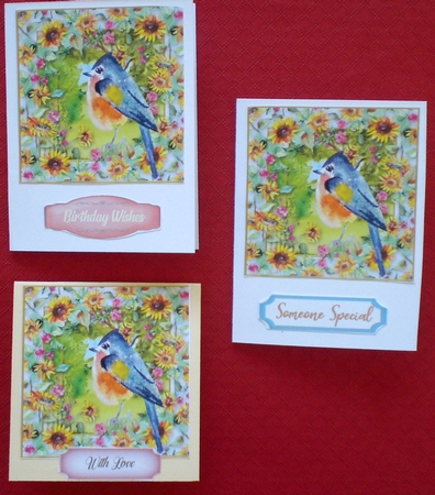 3 All about the birds card fronts/toppers 5 by Pamela Horton