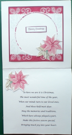 Nativity scene and poinsettia by Pamela Horton