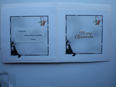 Think Ill have Turkey - 6 x6 inch square card front with decoupage by Pamela Horton