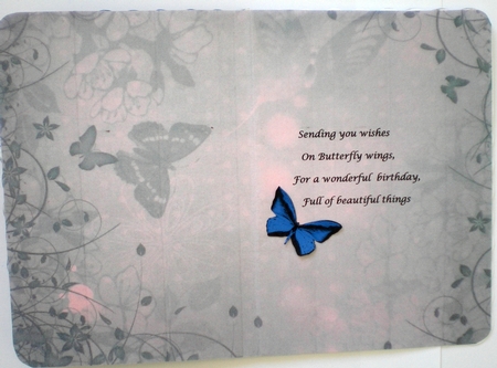 Birthday  Butterfly by Pamela Horton