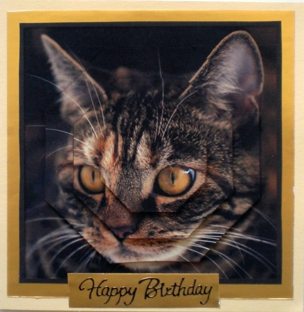 Cat Octagon Pyramid 4 by Pamela Horton