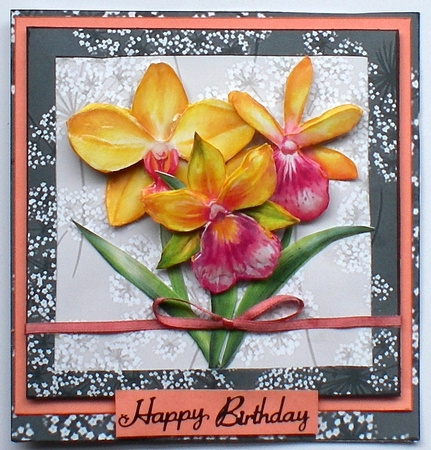 KPD-202202-18Papers-A4-PlaidsFloralsFabrics by Pamela Horton