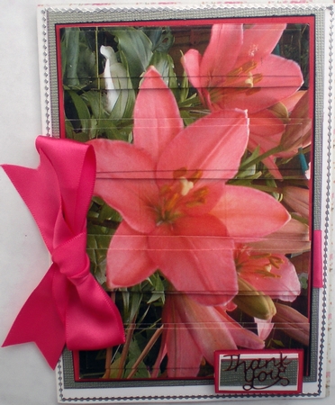 Pink Lily Panel Featured Gallery Photo