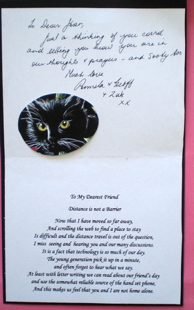 Black Cat and Butterflies Step by Step Decoupage by Pamela Horton