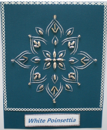 Ed078 White Poinsetta by Pamela Horton