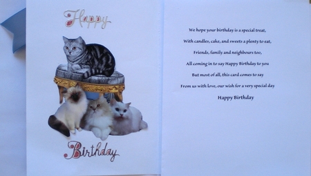 I Just Love Fur Babies, Lovely Cats & Kittens by Pamela Horton