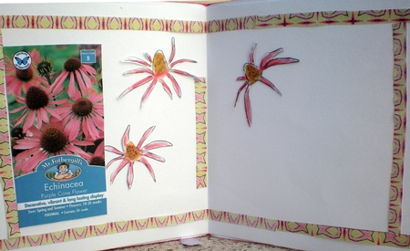 PINK CONEFLOWERS: 8x8 Birthday Floral Quick Card With Extra Decoupage and Commercial Use by Pamela Horton