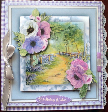 Beautiful Anemones at Bluebell Woods by Pamela Horton