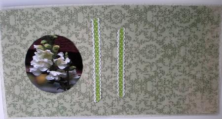 love your greens by Pamela Horton