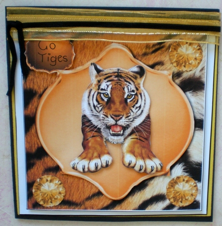 tiger and diamonds  by Pamela Horton