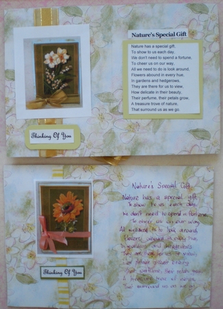 APPLE BLOSSOM BACKGROUND/BACKING PAPER: A4 with Commercial Use by Pamela Horton