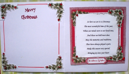 Santa and The Cat  by Pamela Horton