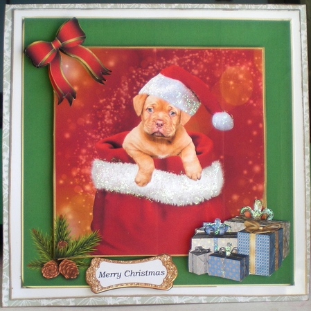Santa Paws by Pamela Horton