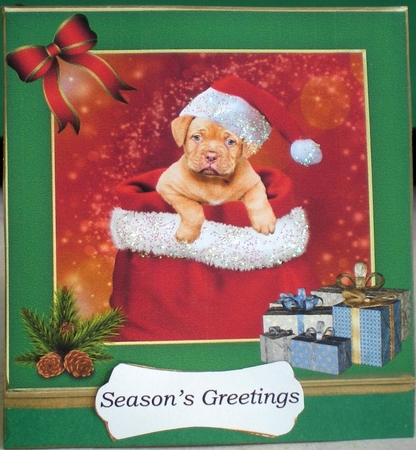 Santa Paws by Pamela Horton