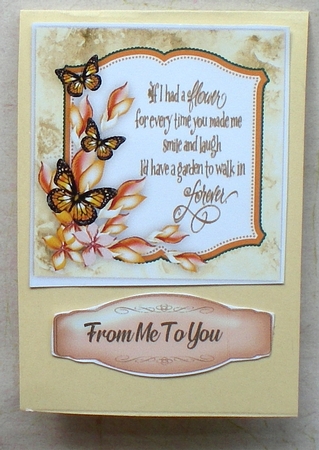 Beautiful Butterflys and Verse by Pamela Horton