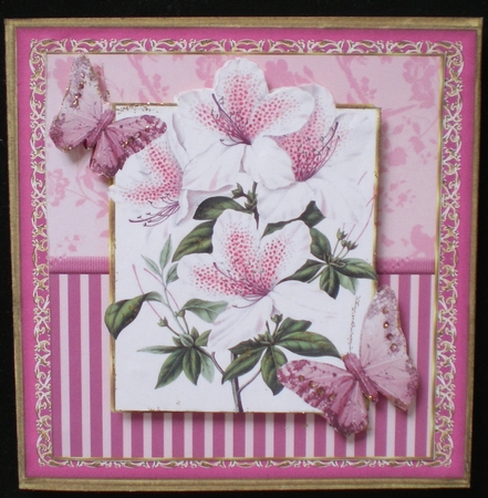 Charming-Exotic Backgrounds by Pamela Horton