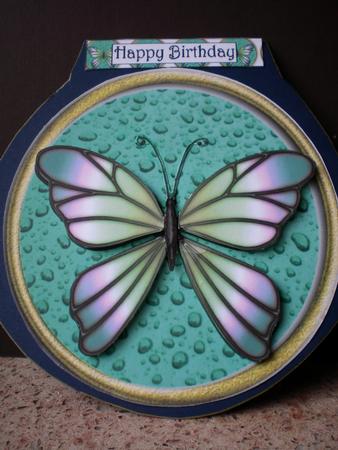 2 Round Framed Butterfly Toppers 1 - with Matching Tags by Pamela Horton