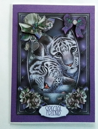 Animal Kingdom  5X7  Bumper Kit #1 by Pamela J