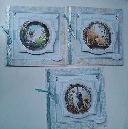 WINDOW CATS by Pamela J