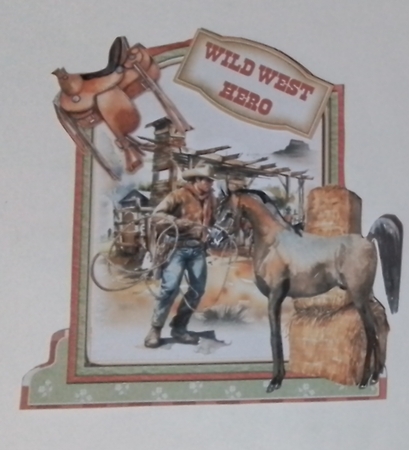 The Wild Wild West 3 XL Shaped Card Kit by Pamela J
