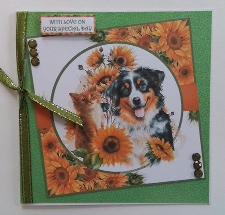 PETS WITH SUNFLOWERS by Pamela J