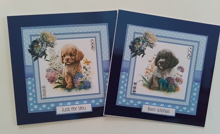 Poodle Pups by Pamela J