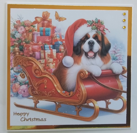 Dog Sleigh by Pamela J