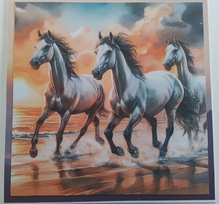 Sunset Beach Horses by Pamela J