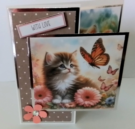 Butterfly Kitten by Pamela J